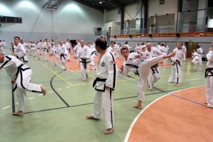 Taekwondo Toruń Działdowo Mława (10)